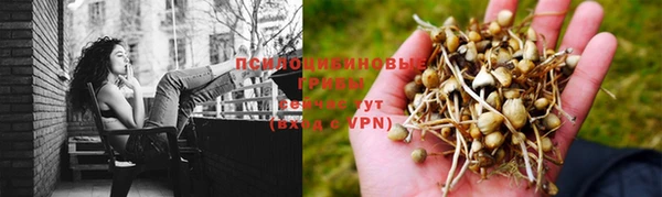 дживик Краснослободск