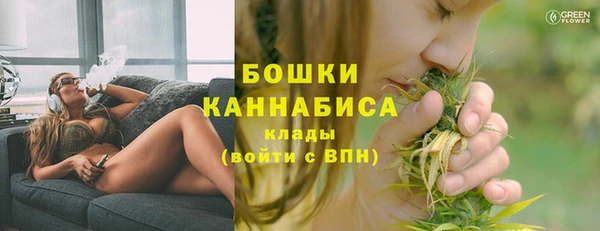 дживик Краснослободск