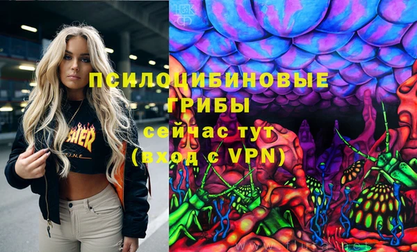 гидропоника Куйбышев