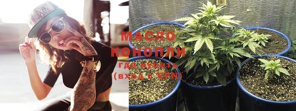 экстази Ельня