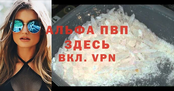 дживик Краснослободск