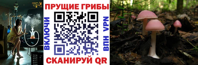 маркетплейс клад Мелеуз Галлюциногенные грибы MAGIC MUSHROOMS