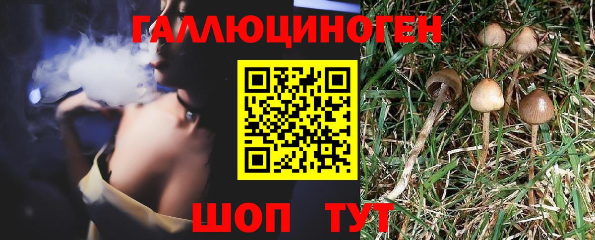 Псилоцибиновые грибы GOLDEN TEACHER Мелеуз