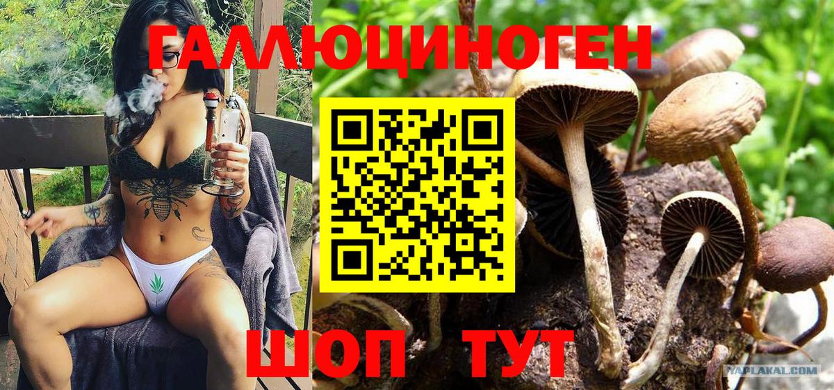 Мелеуз  Псилоцибиновые грибы Magic Shrooms  Вход с VPN  Псилоцибиновые грибы Cubensis 
